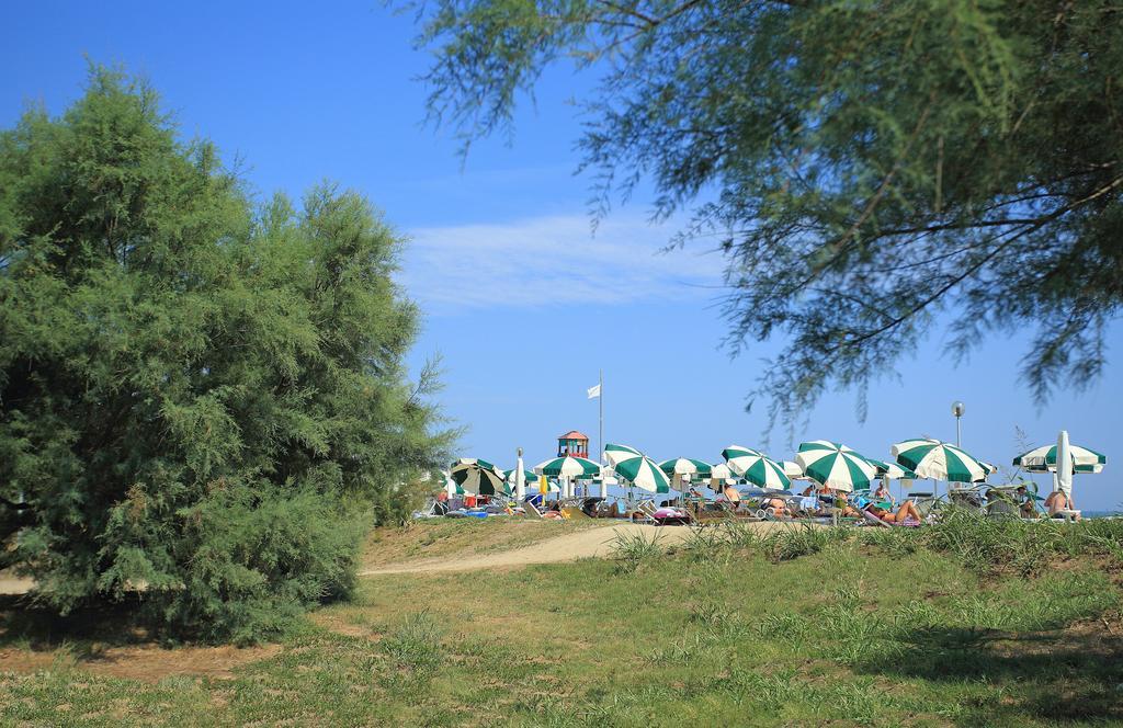 Hotel Maregolf كاوْرلي المظهر الخارجي الصورة